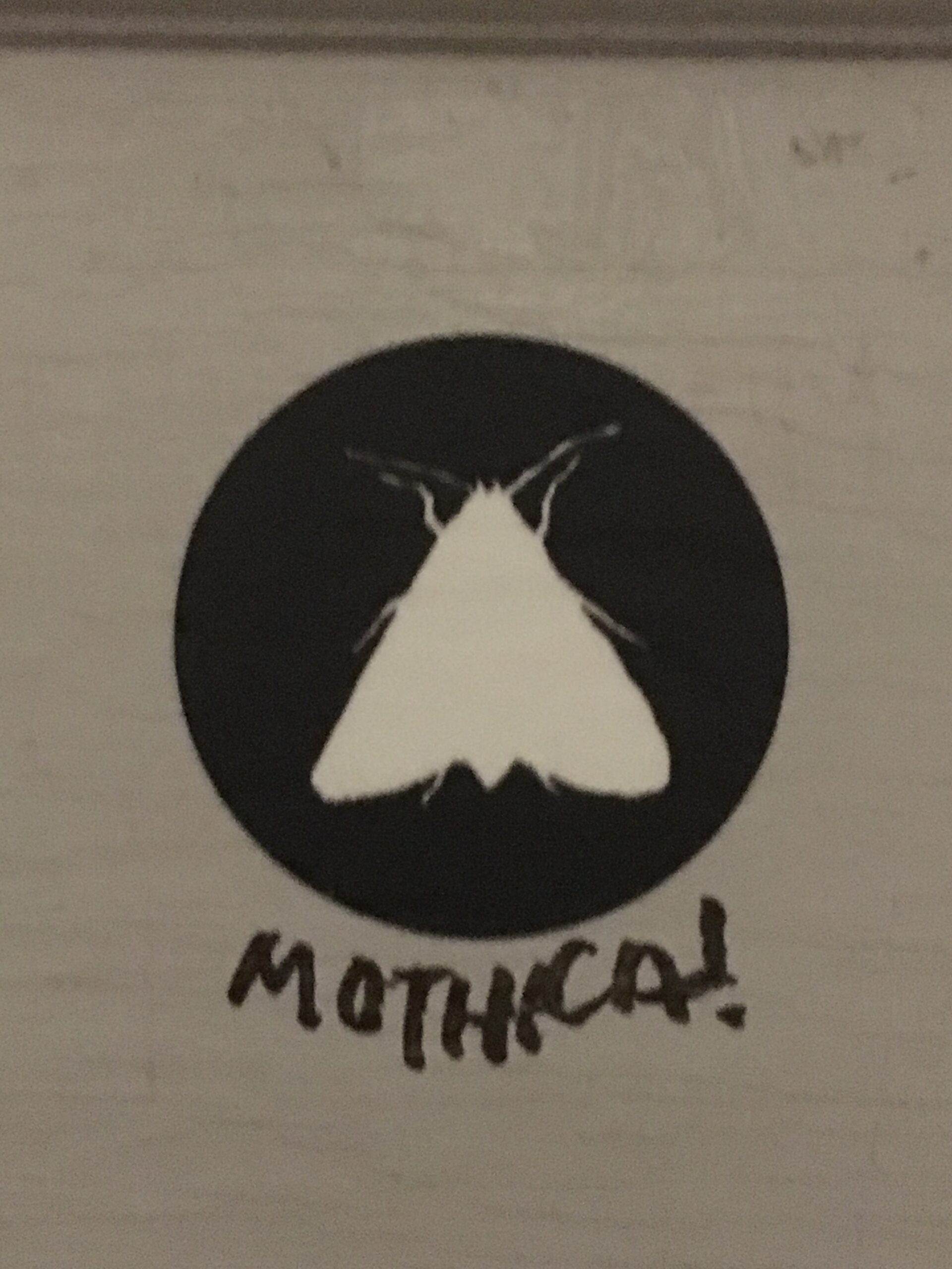 Mothica