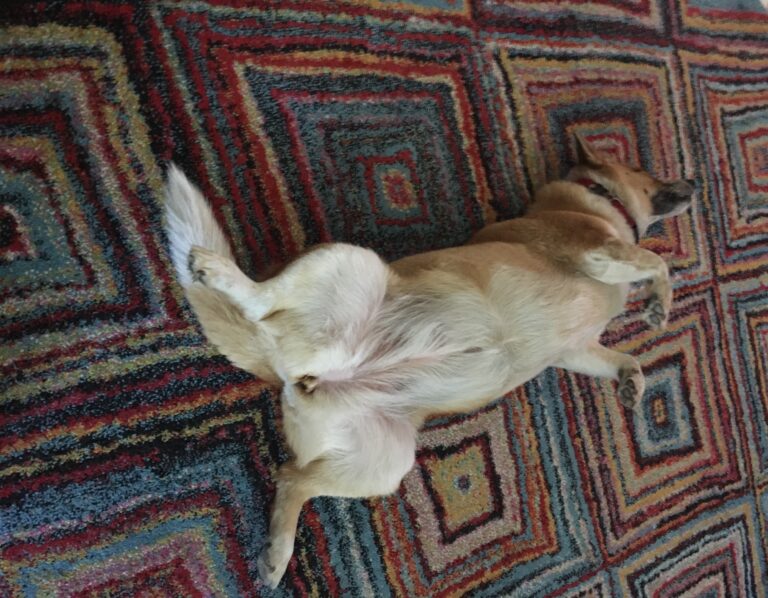 Weird Sleeping Position