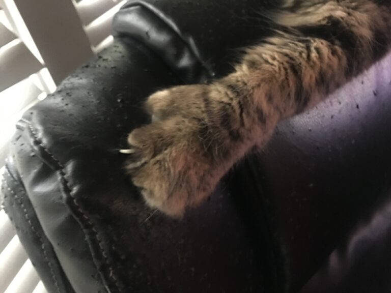 What Happened to the Chair?