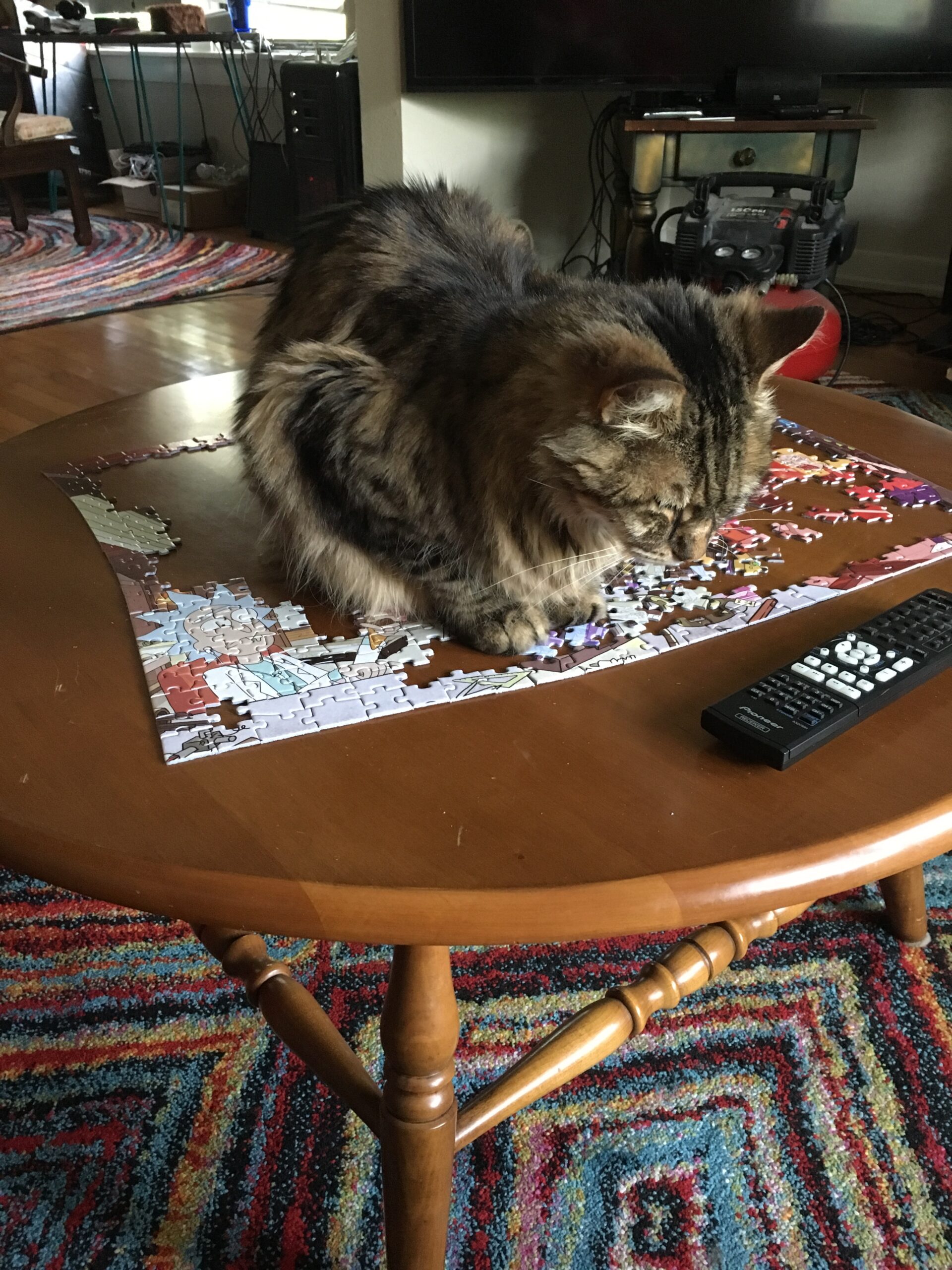 Eddie Loves Puzzles