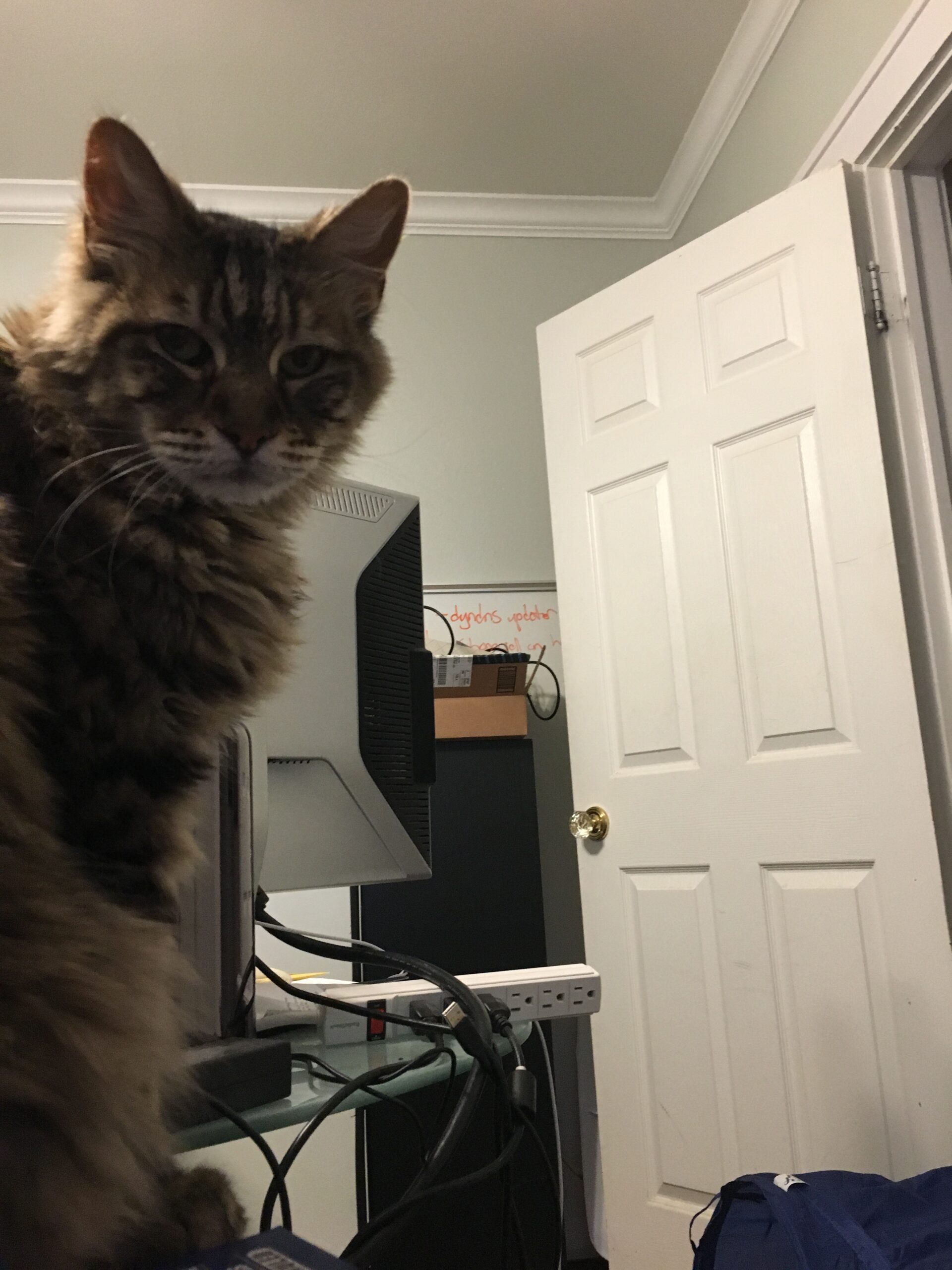 Protector of Computers