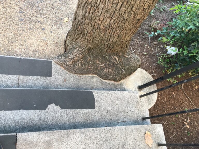 Lapping at the Stair