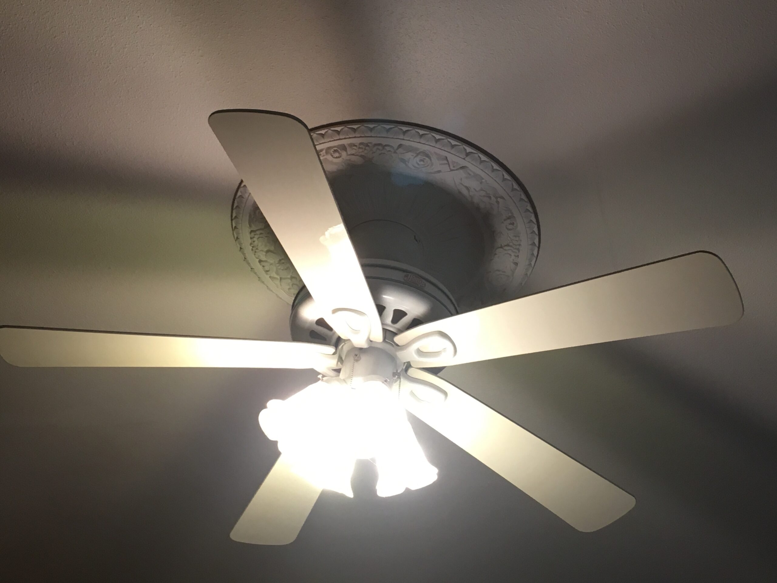 Ceiling Fan