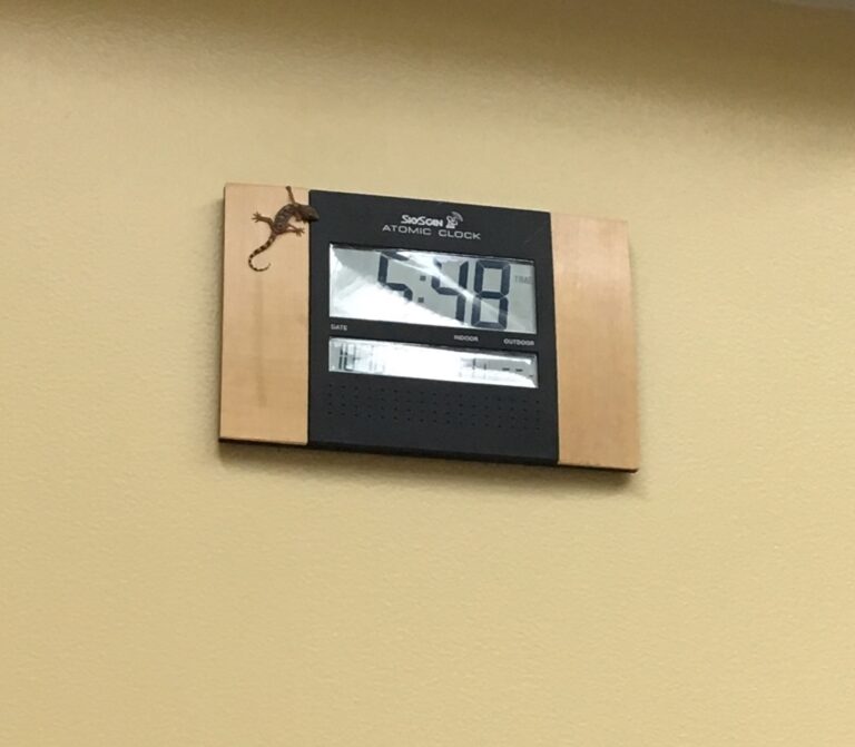 Little Guy on the Clock