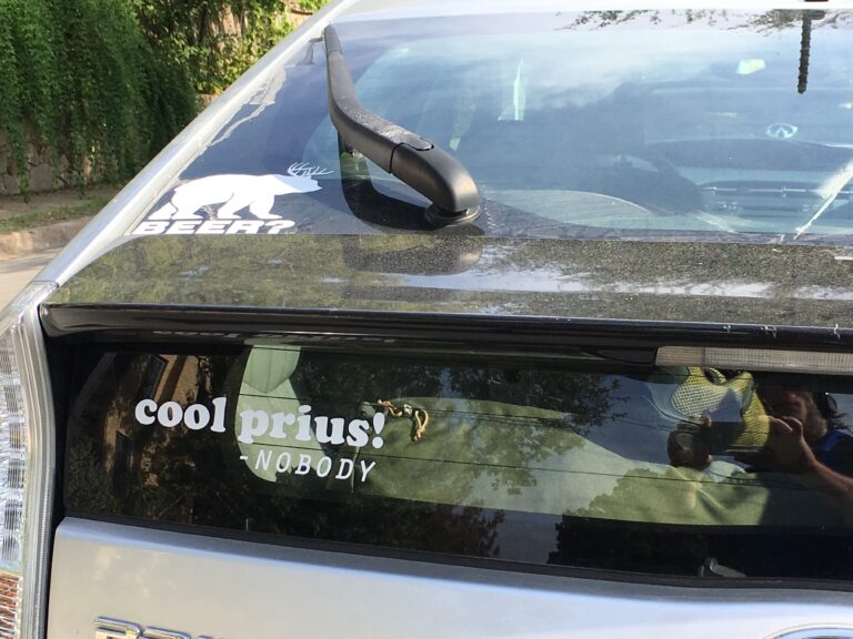 Cool Prius!
