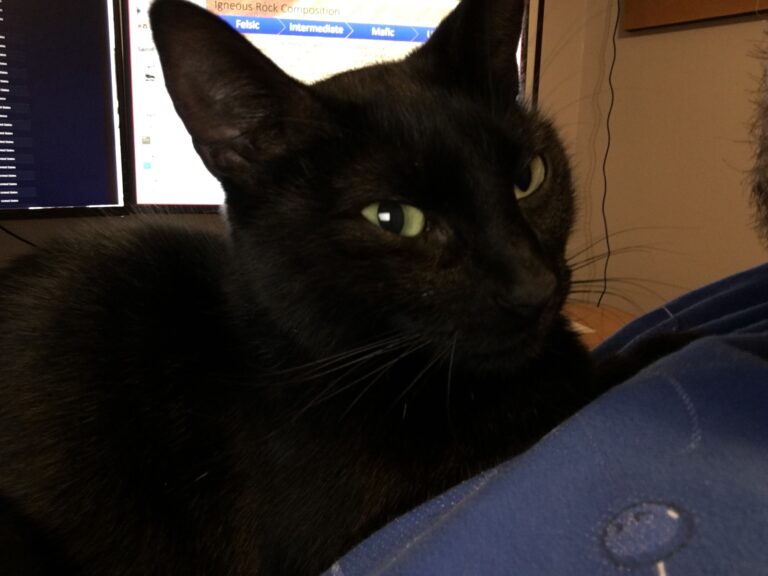 Is That a Drool Spot!?