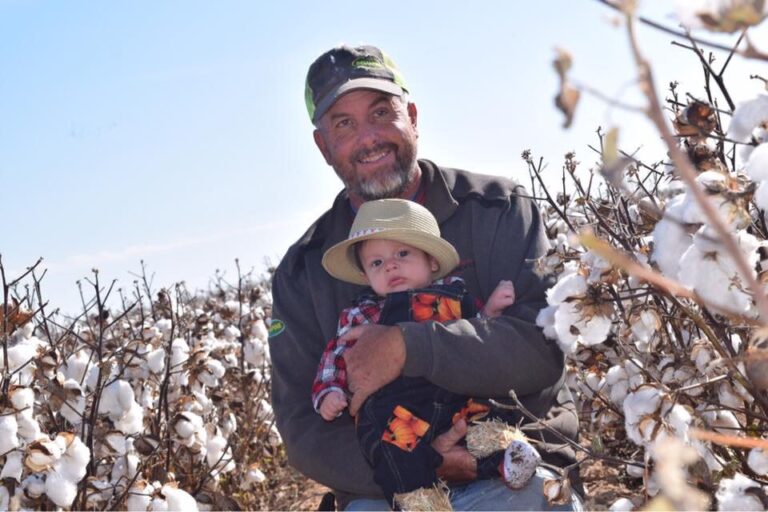 Halloween in the Field