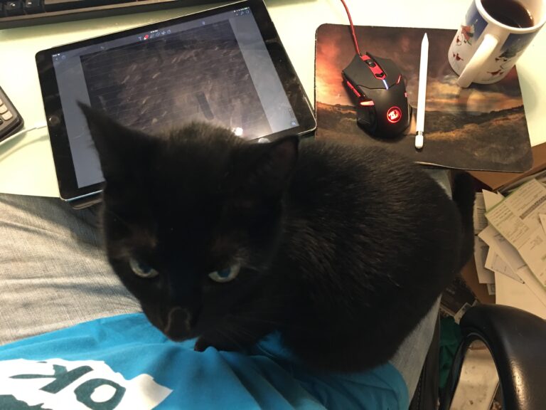 Chem Exam Study … Cation?