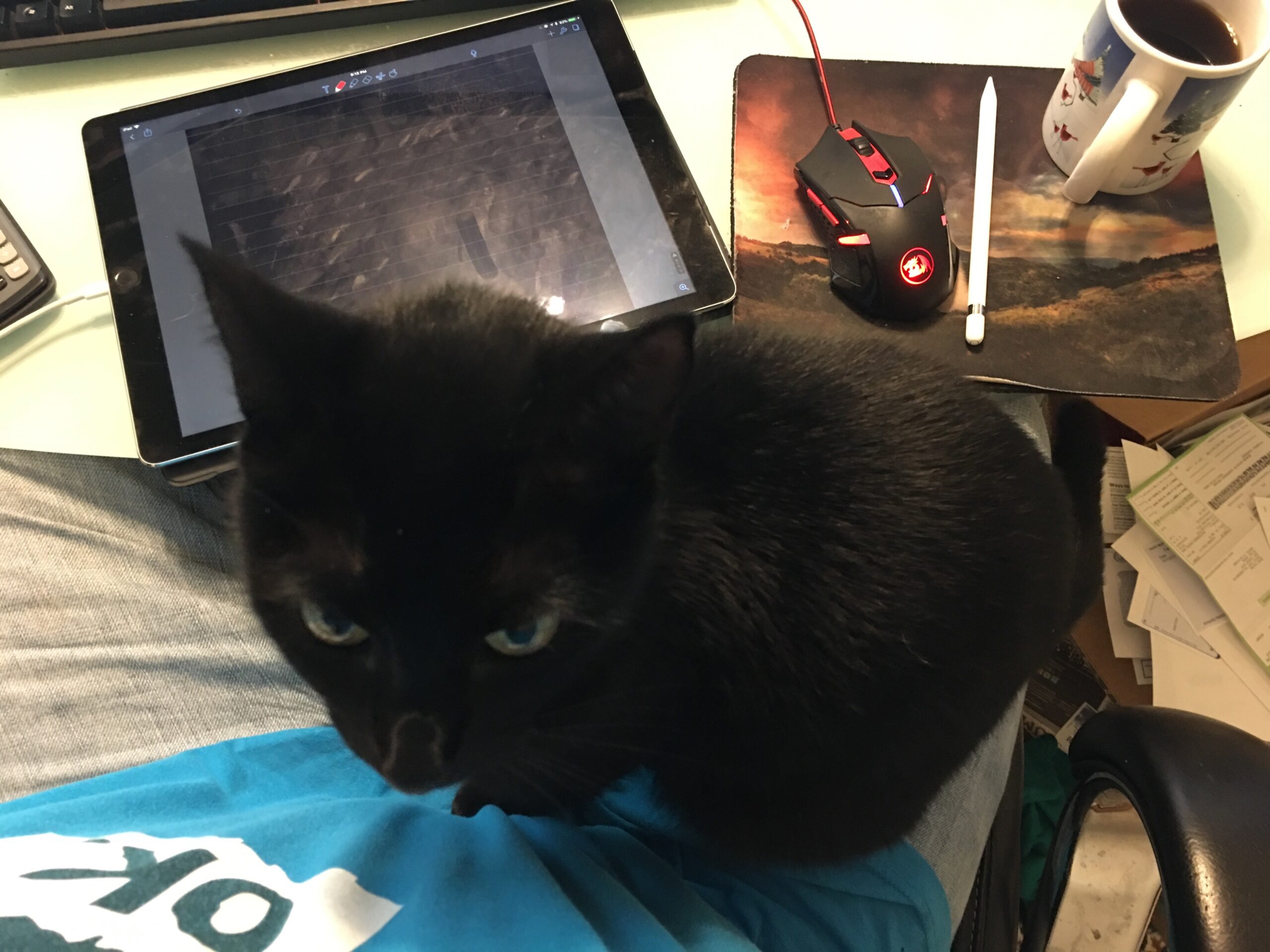 Chem Exam Study … Cation?