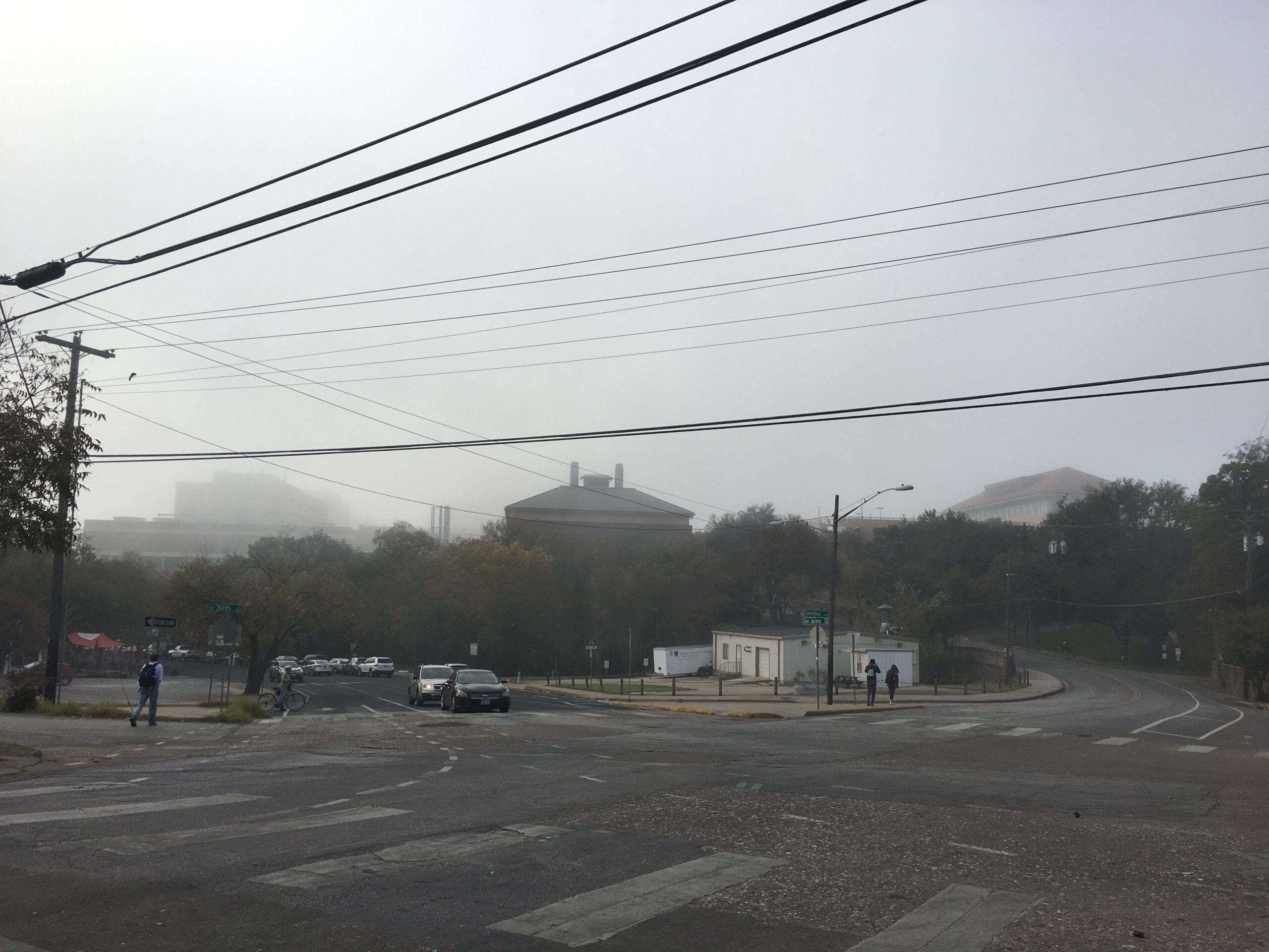 Foggy Forty Acres