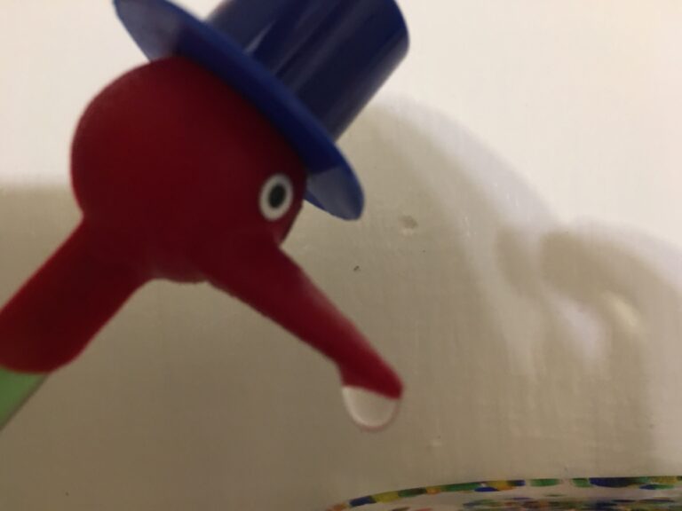 Another Bird Picture