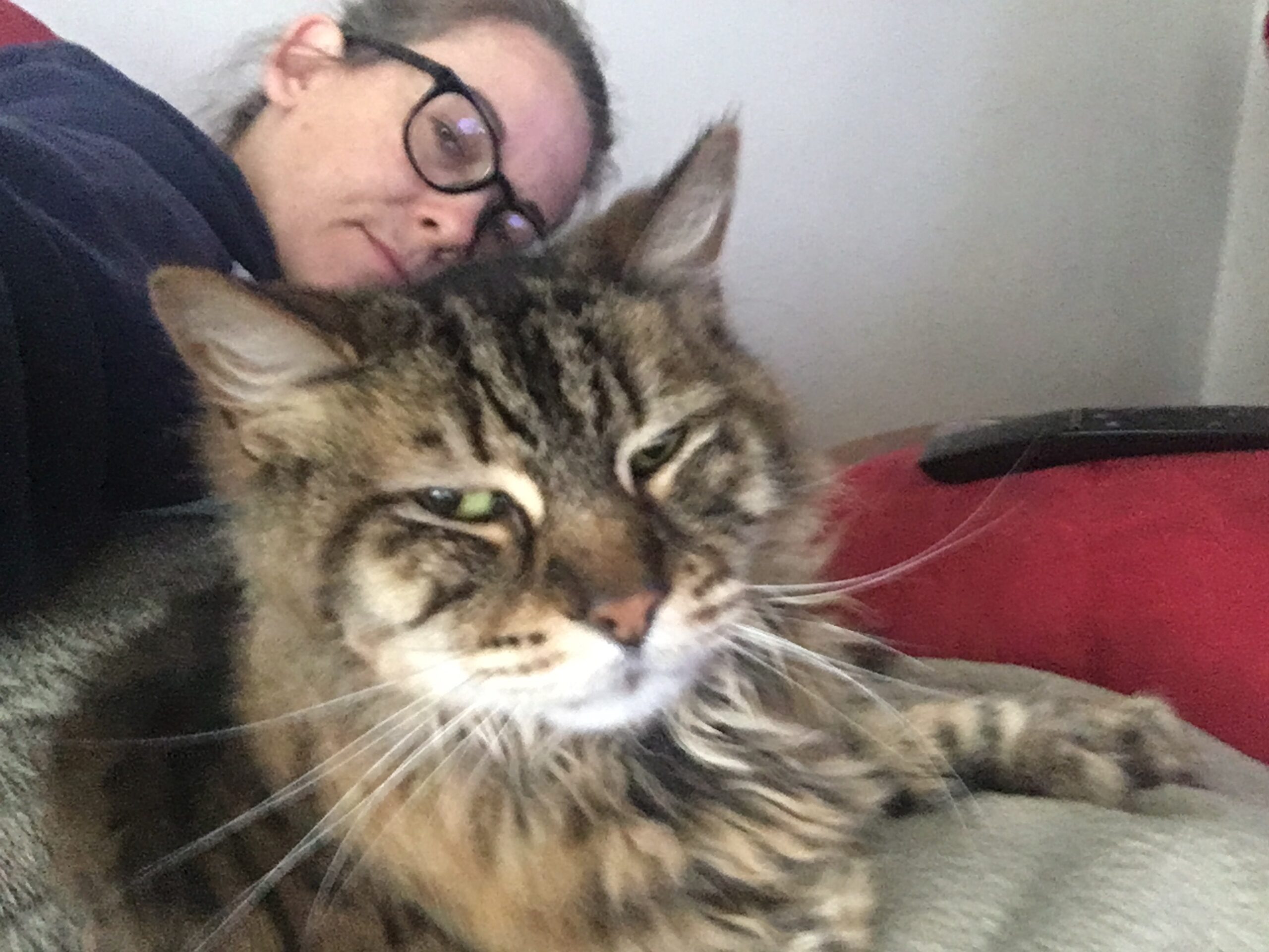 Chillin in the Chair