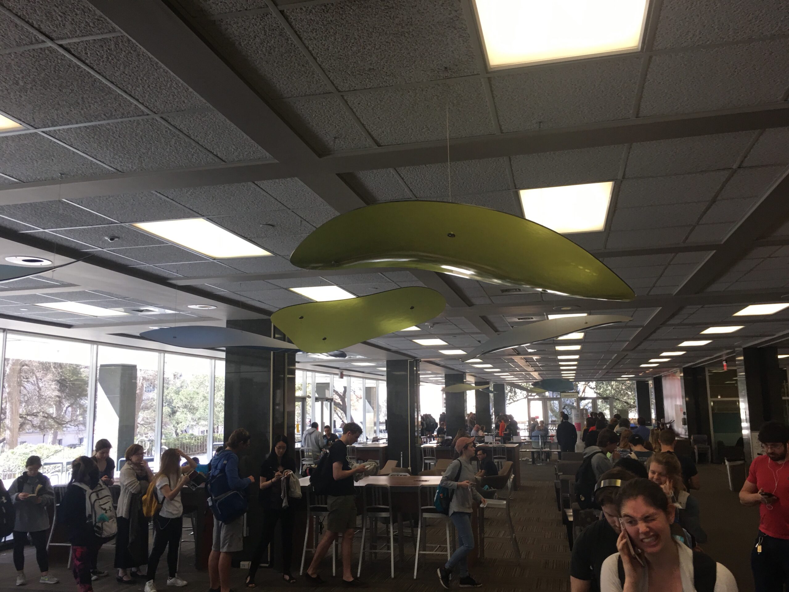 Primaries Polling Day