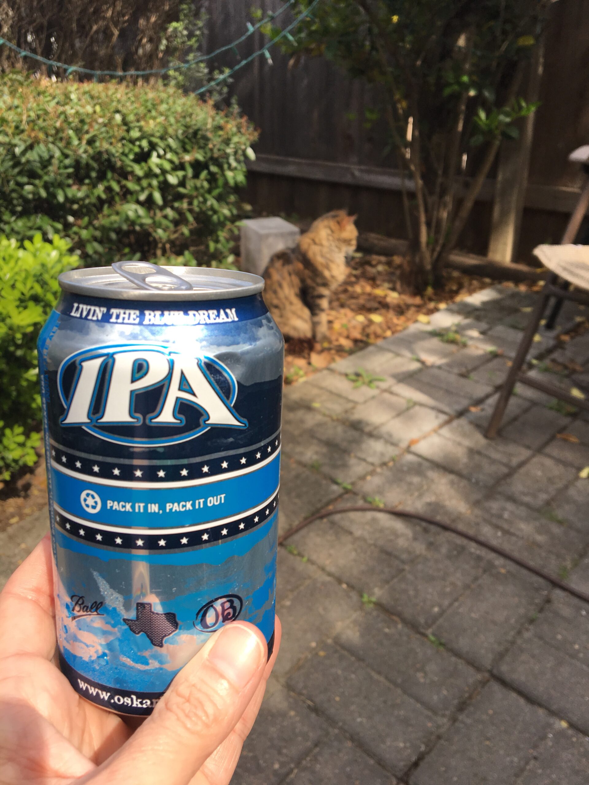 IPA