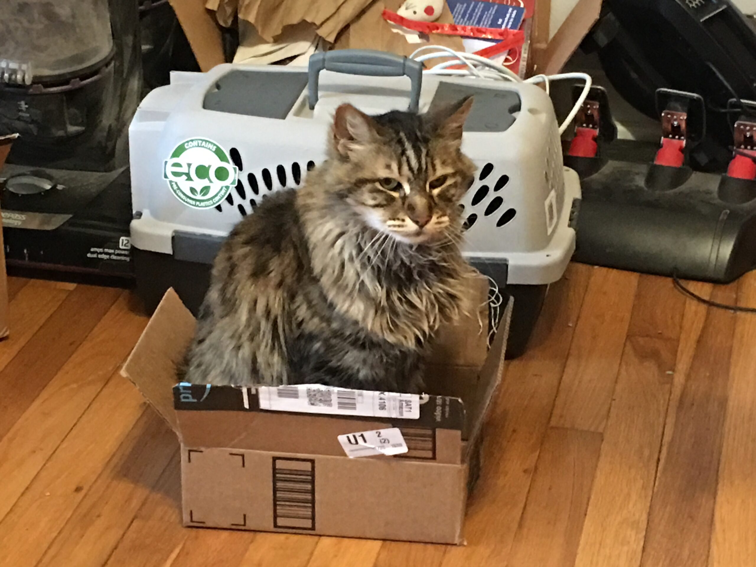 A Bad Case of Smallbox