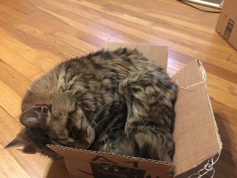 The Smallbox Is Getting Worse