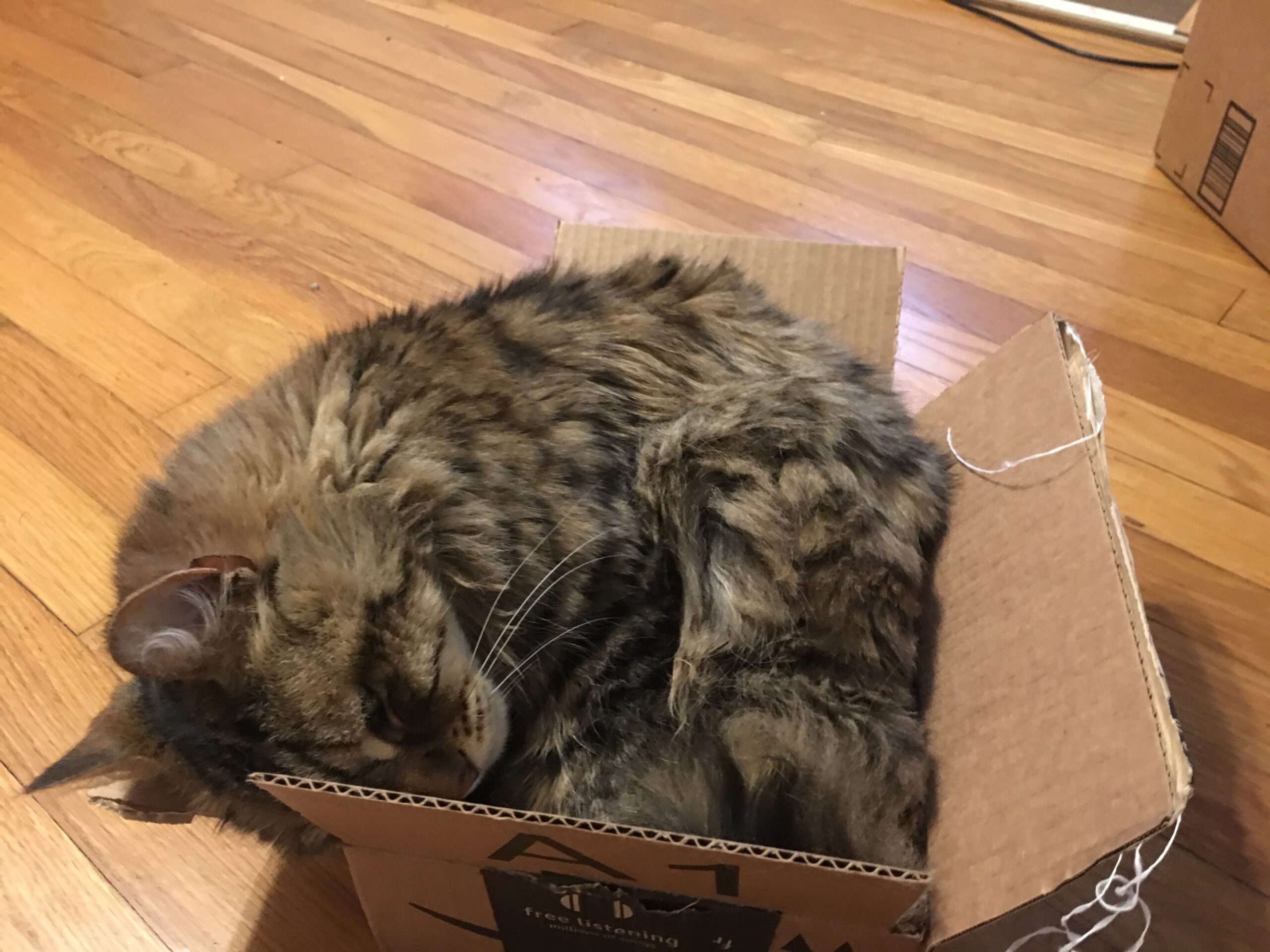 The Smallbox Is Getting Worse