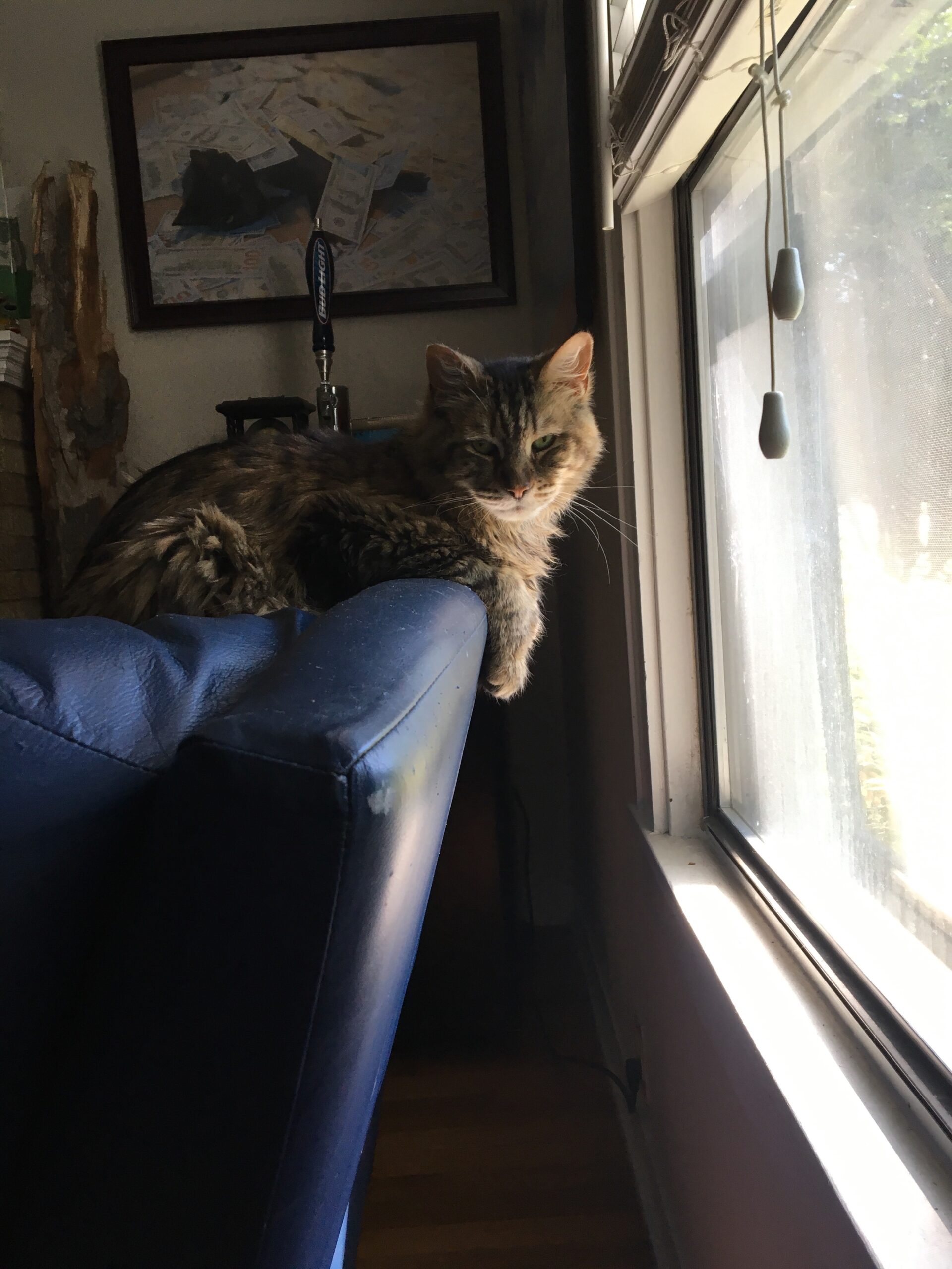 Sunday Bird Watching