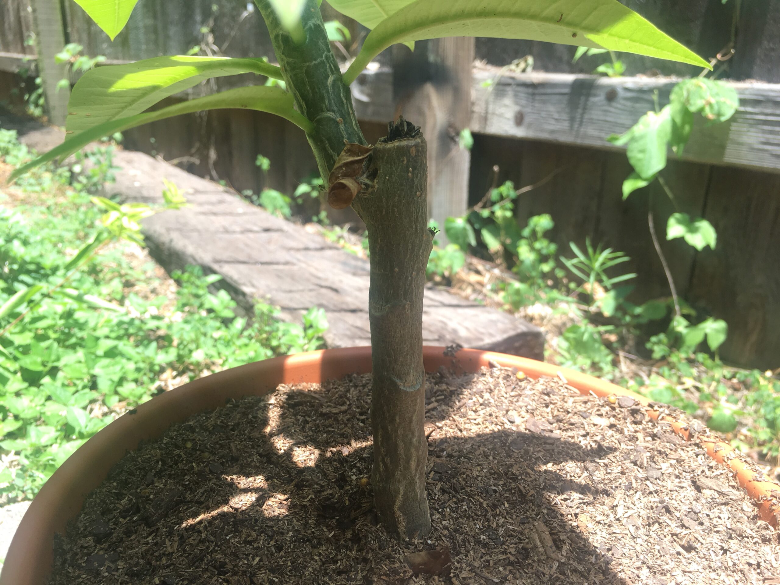 I’ll Just Start Over