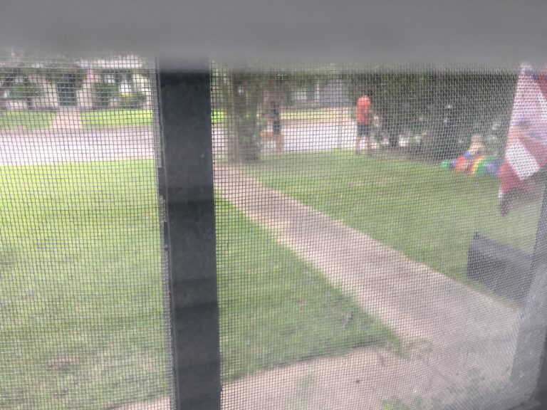 Neighborhood Hippo Friends