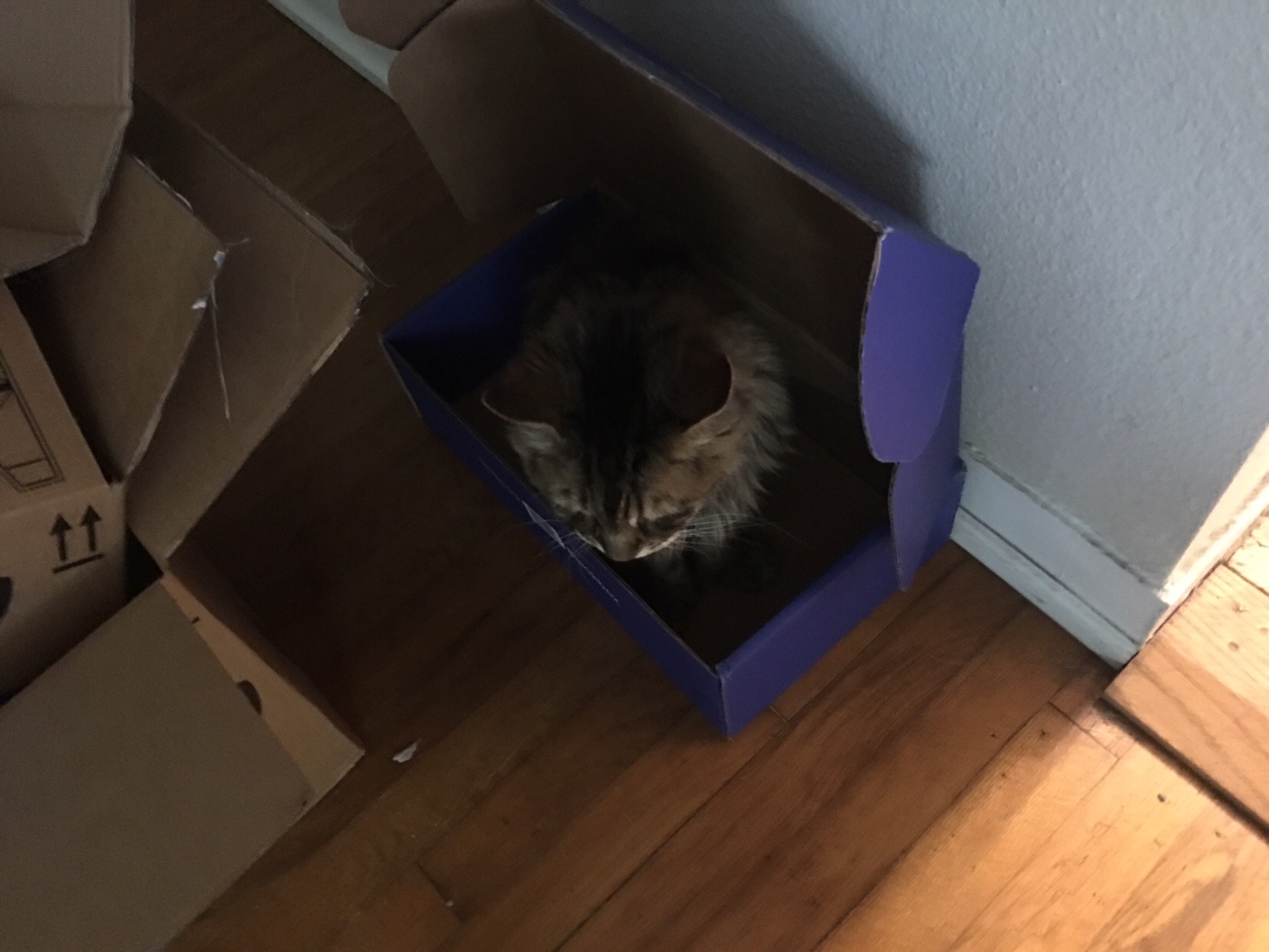 New Box!