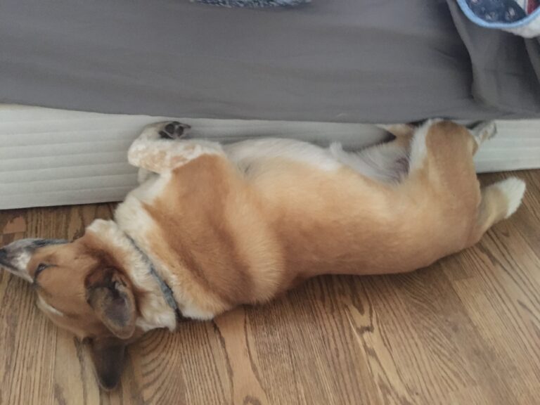 Weird Sleeping Position