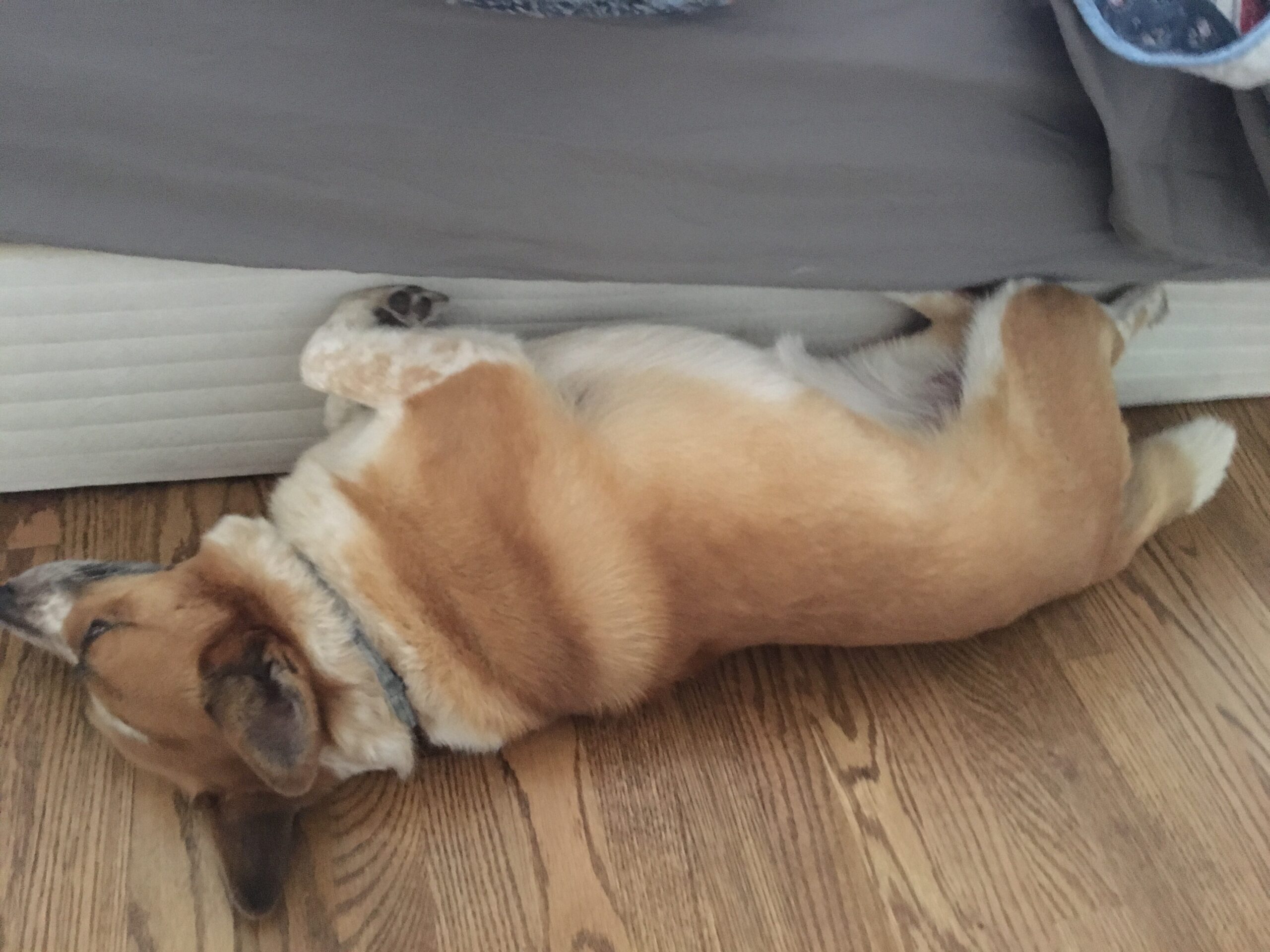 Weird Sleeping Position