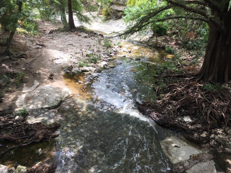 Waller Creek with Water