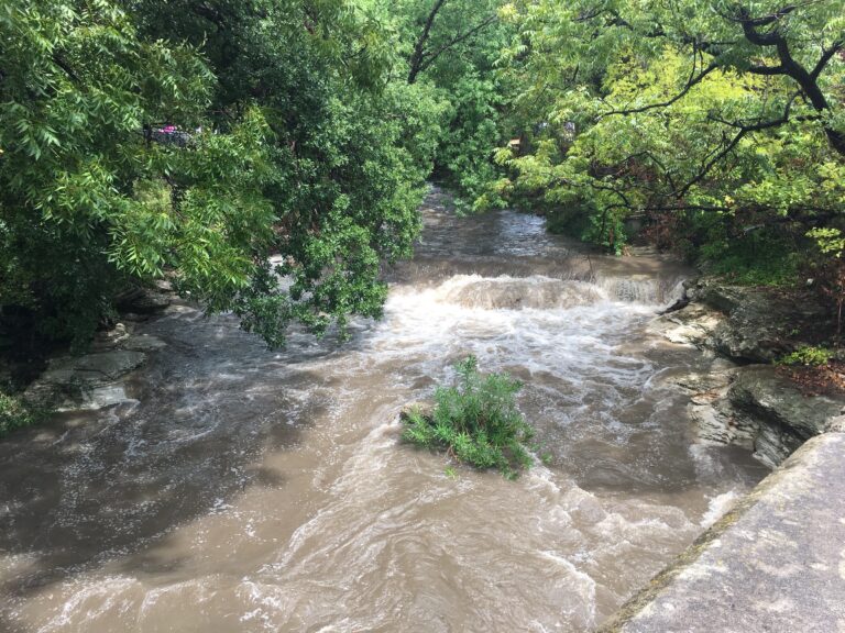 Rolling After The Rain