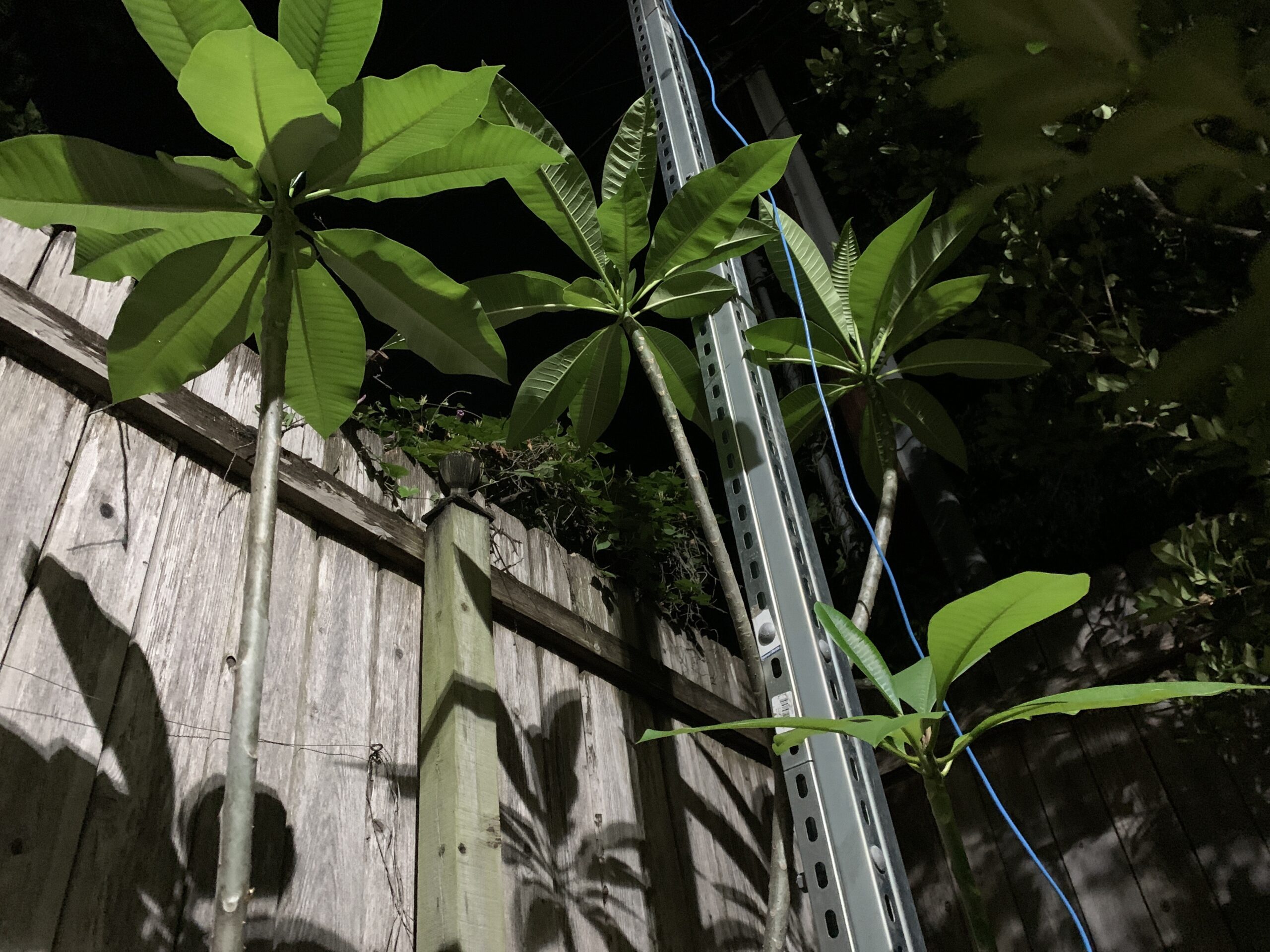 The State of the Union