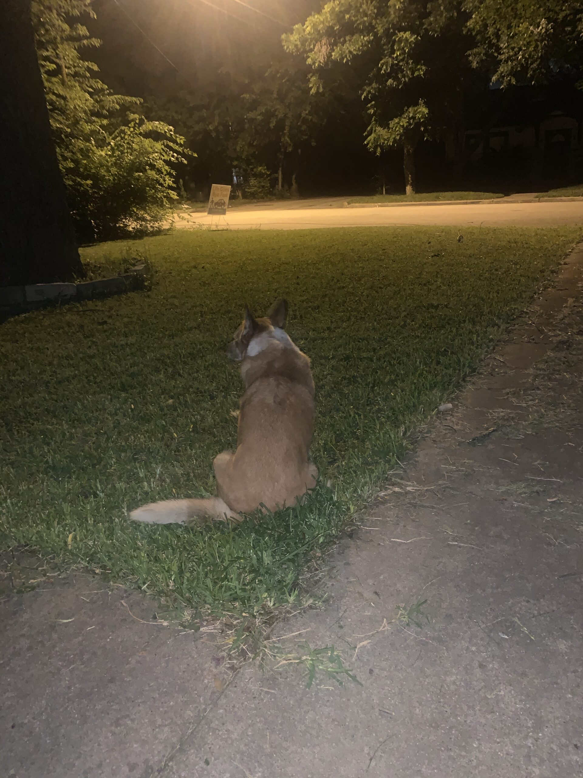Front Yard Protector