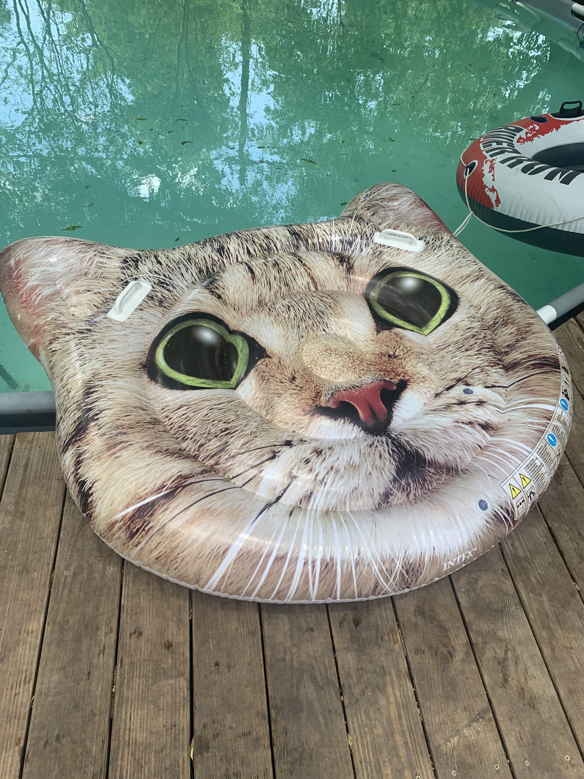Cat Float