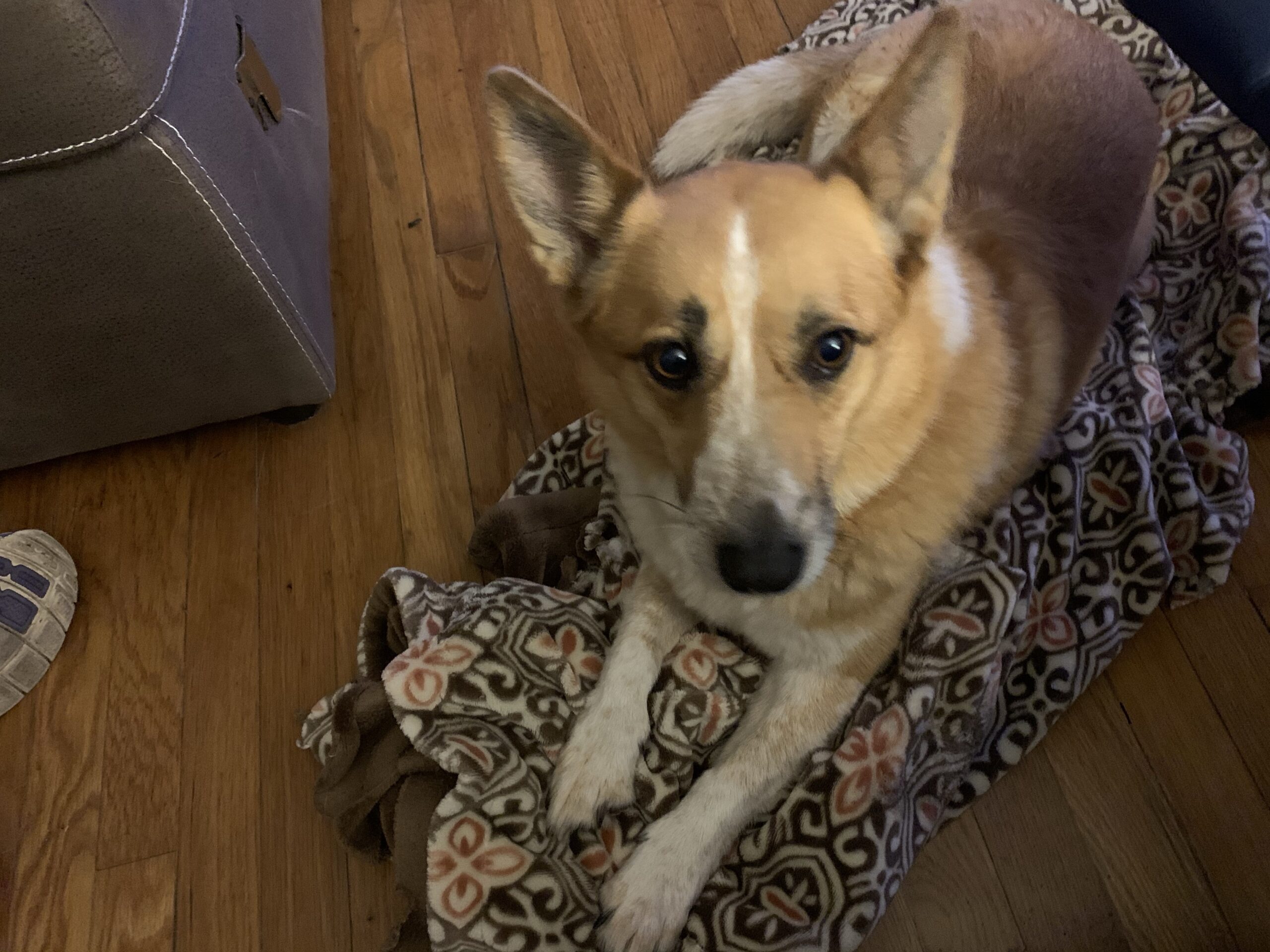 Hanging with the Girls