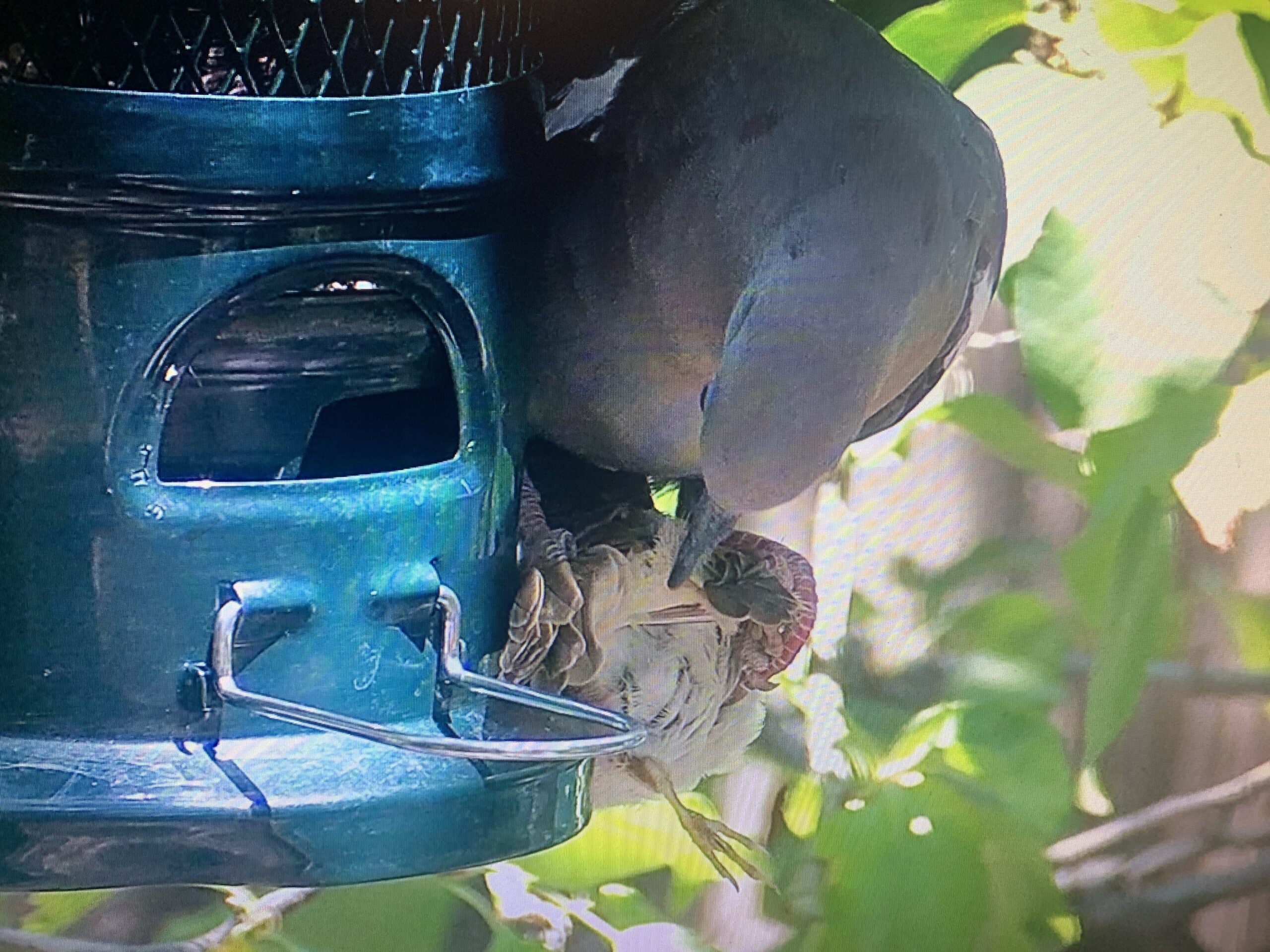 Dude, You’re Standing On Me