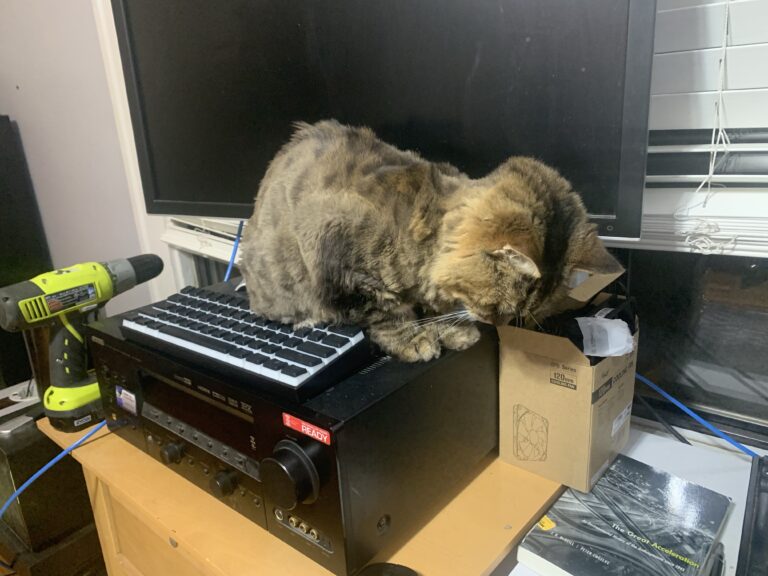 fgtrsd4f        nm          √©ƒ;o,,,,,,cvftrrrrrdcx