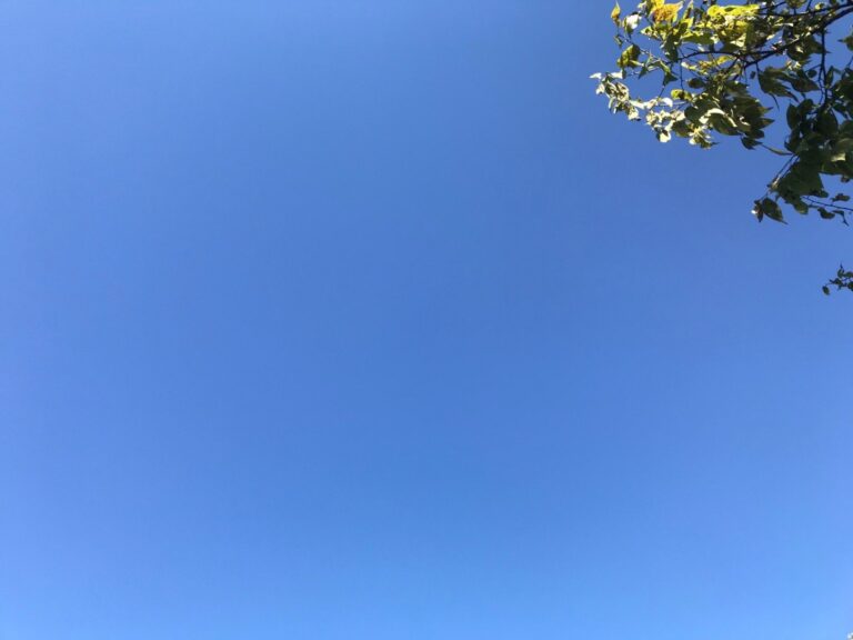 We’ll Miss Y’all