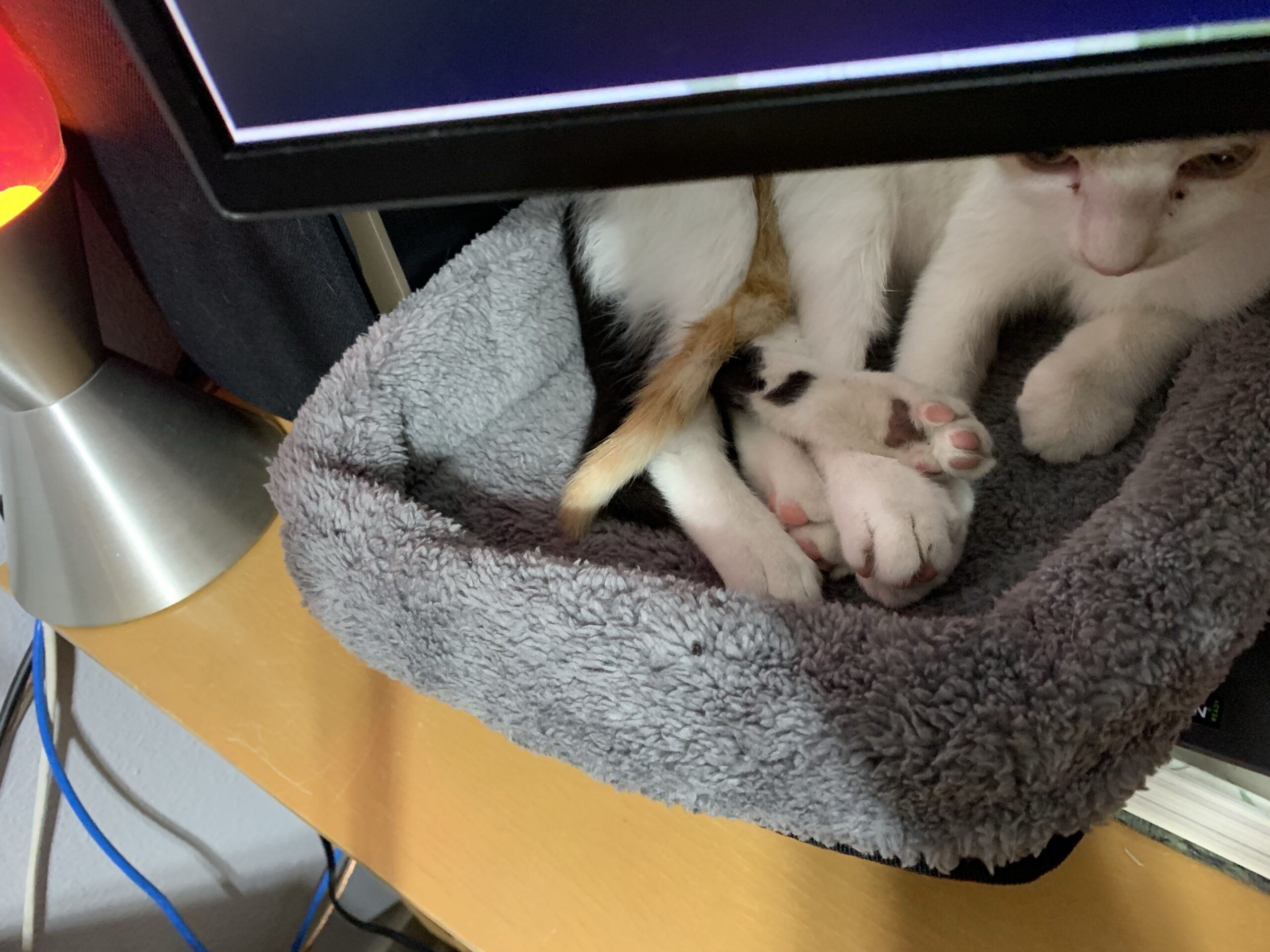 That’s A lot of Feet