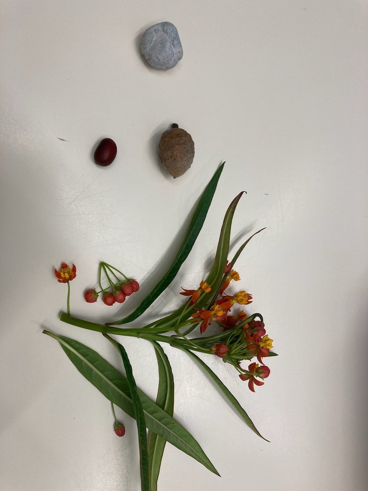 Accidental Still Life