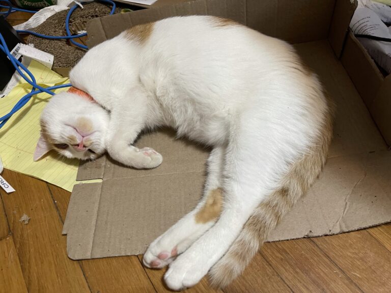 Look at What You’ve Done to That Box