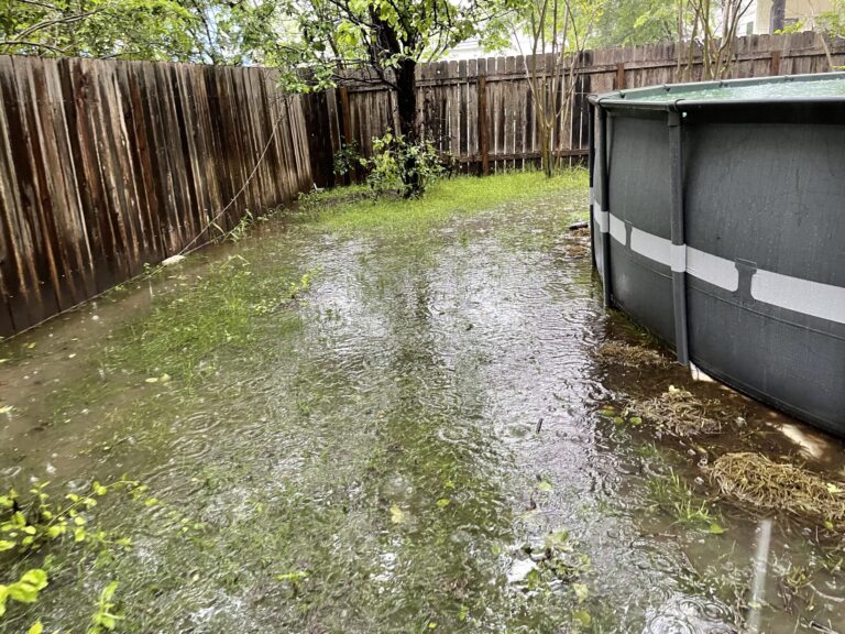Rainy Yard Swamp