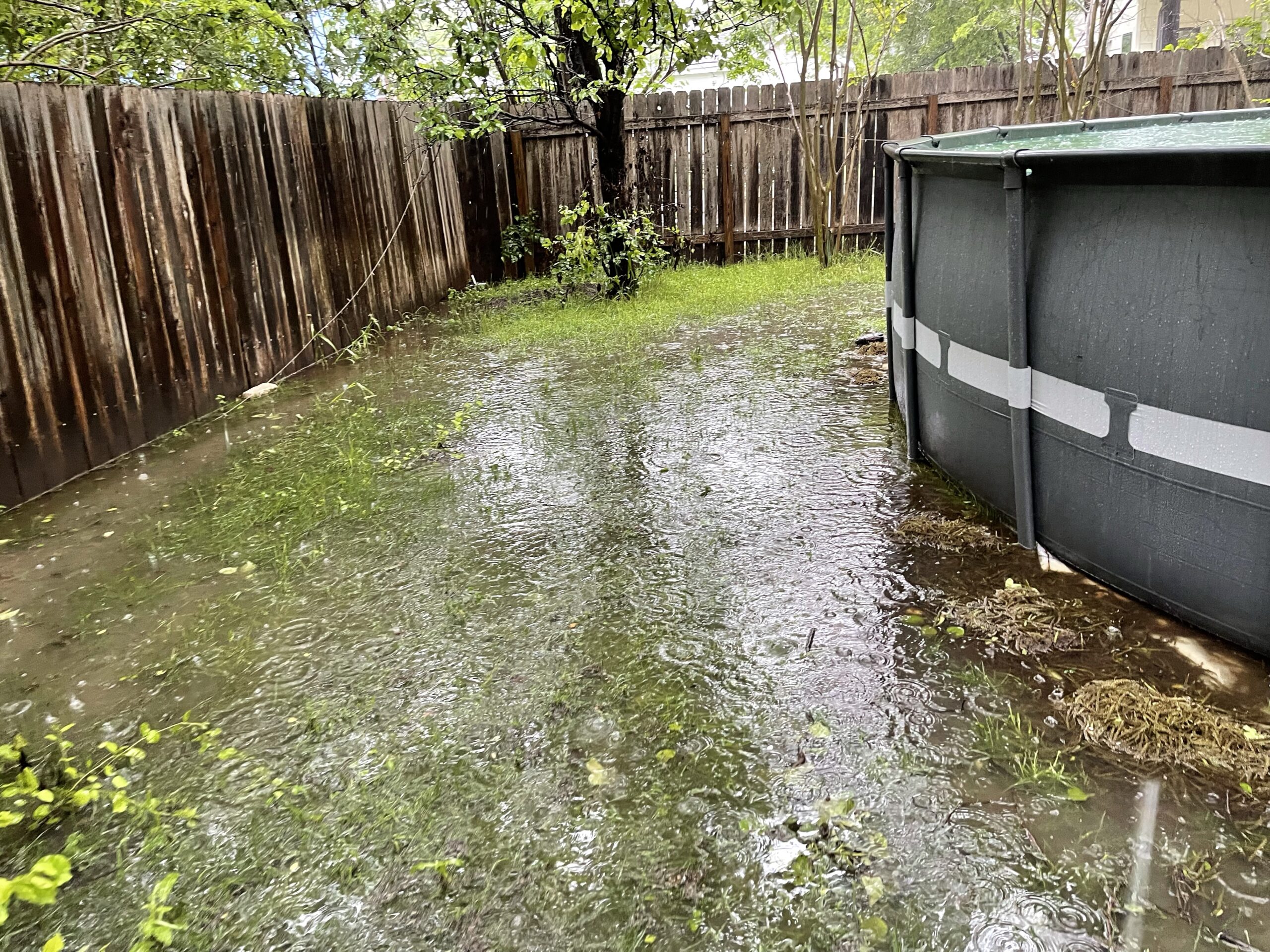 Rainy Yard Swamp