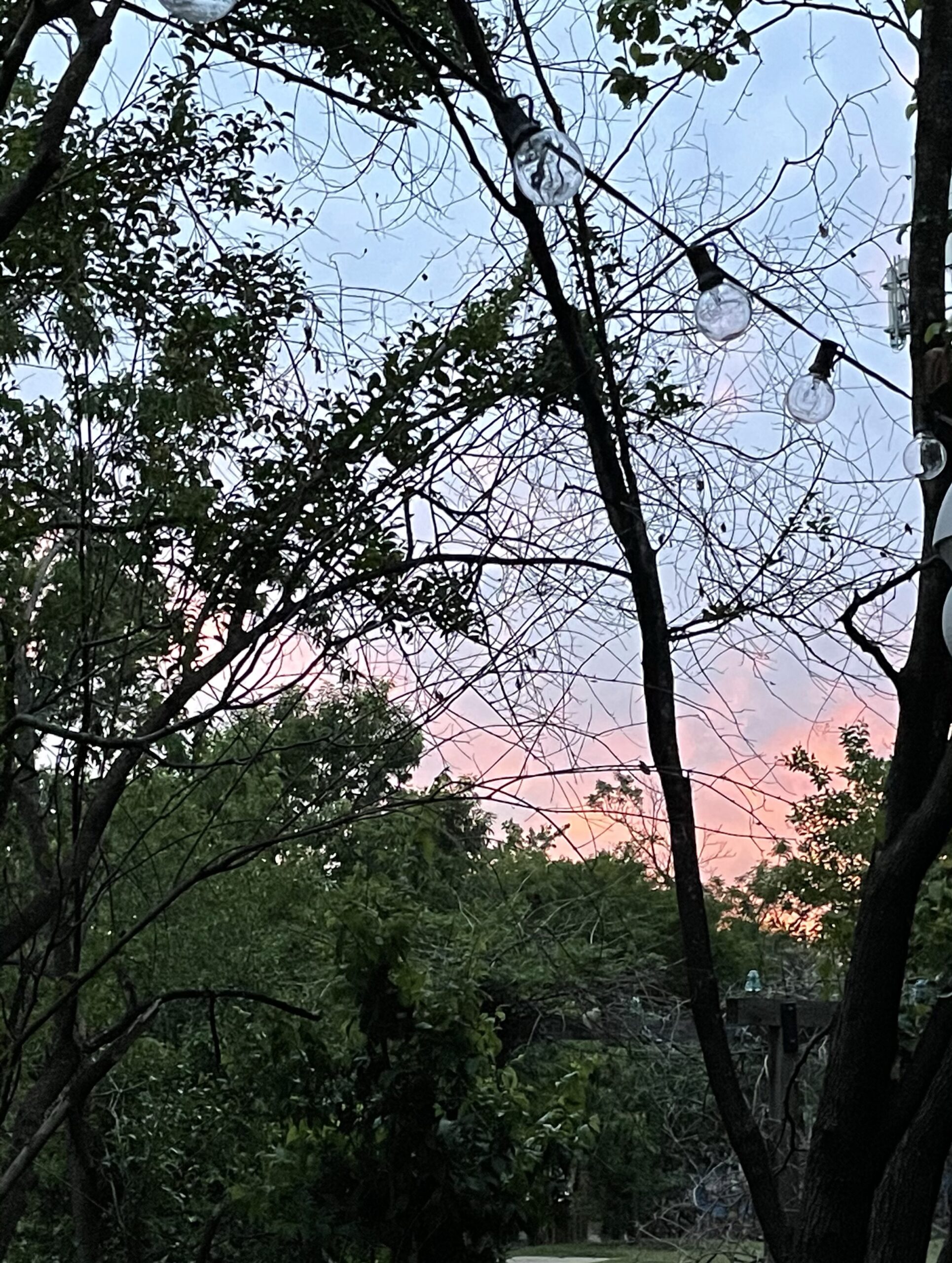 Pink and Blue and Green