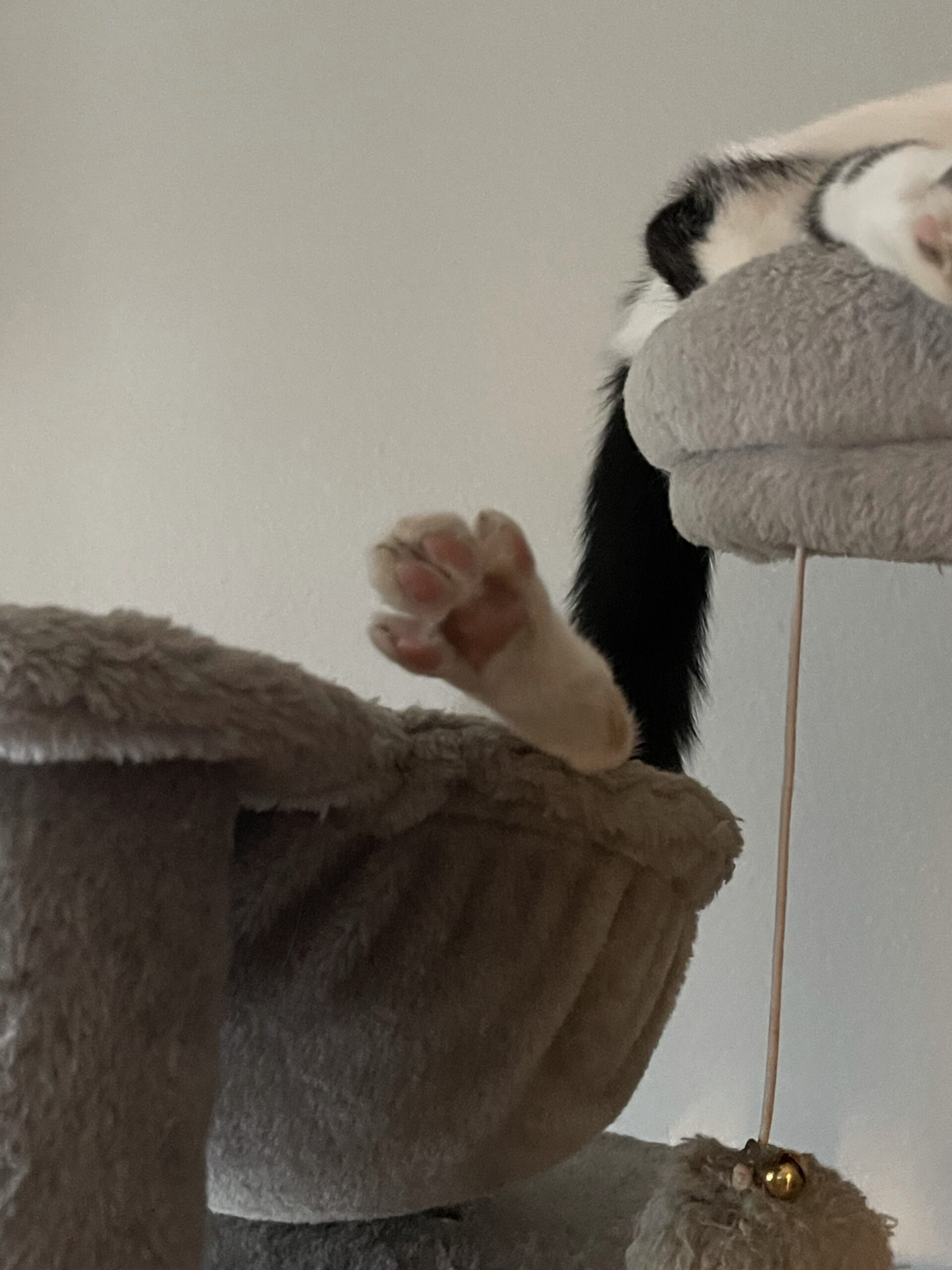 Extreme Sleeping Feet