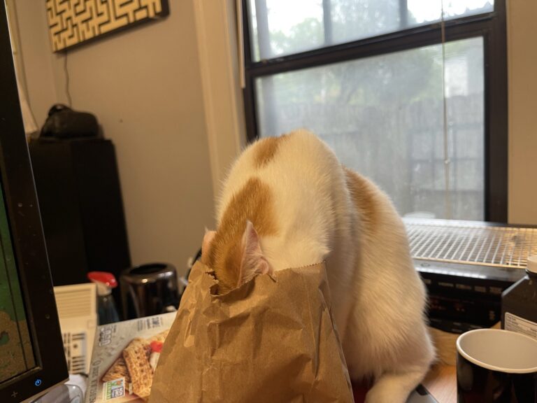 Hide From Your Problems