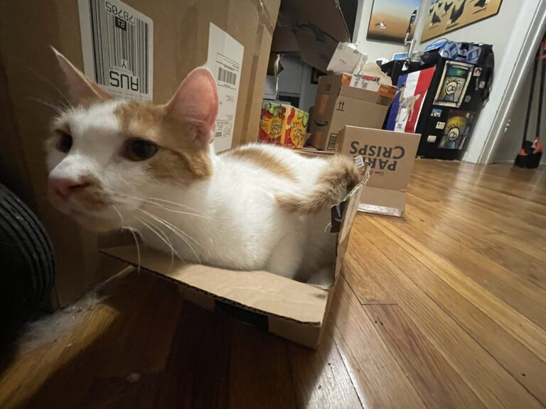 I Can Fit in Anything