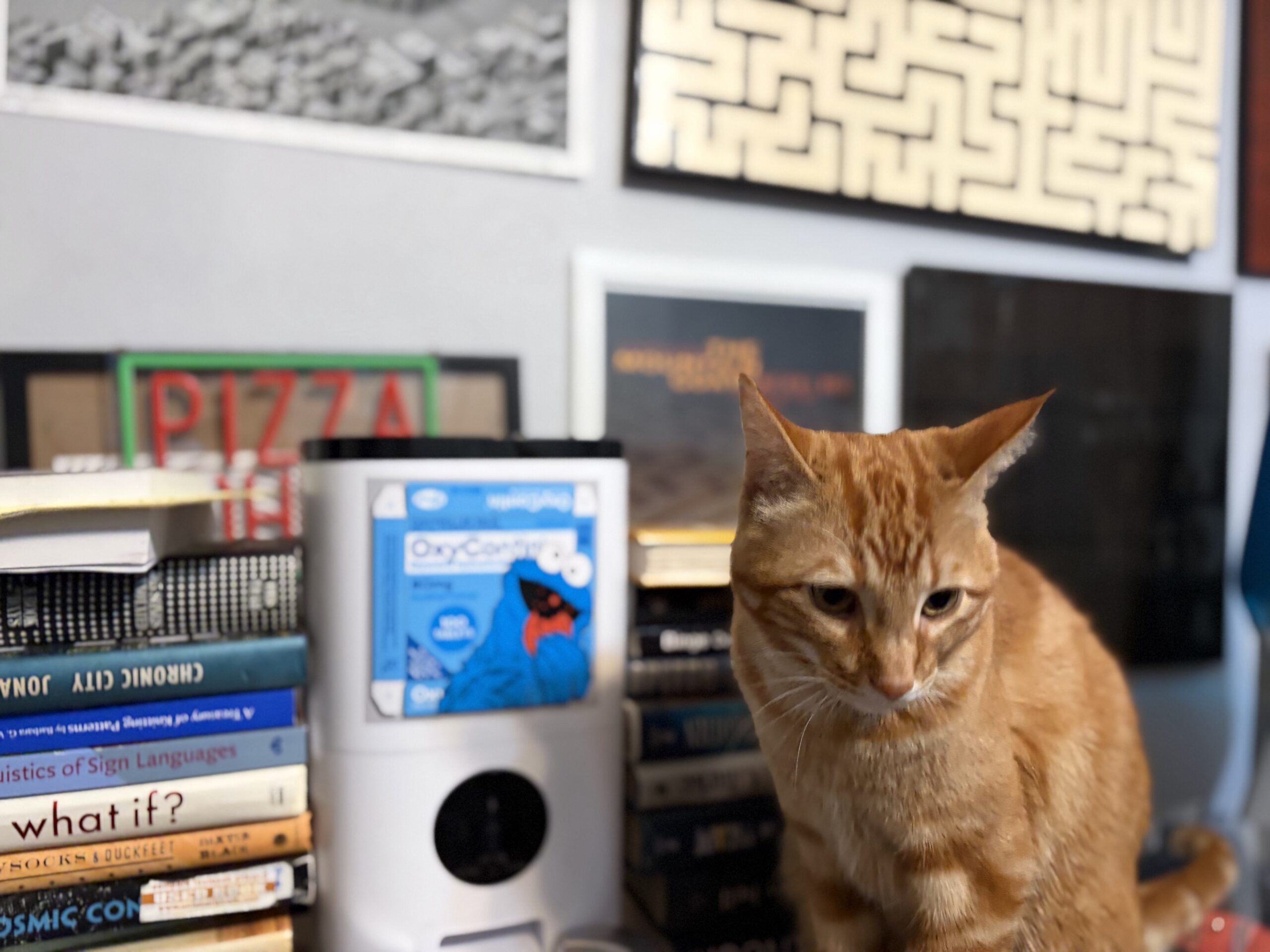 Starving Cookie Monster