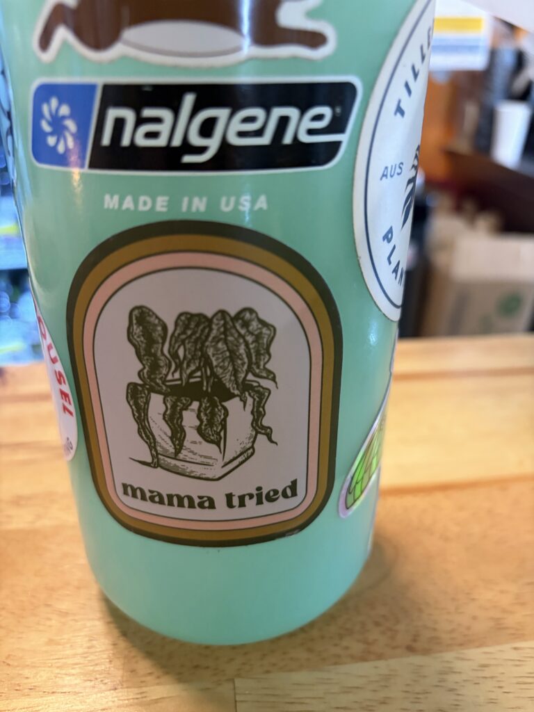 Mama Tried