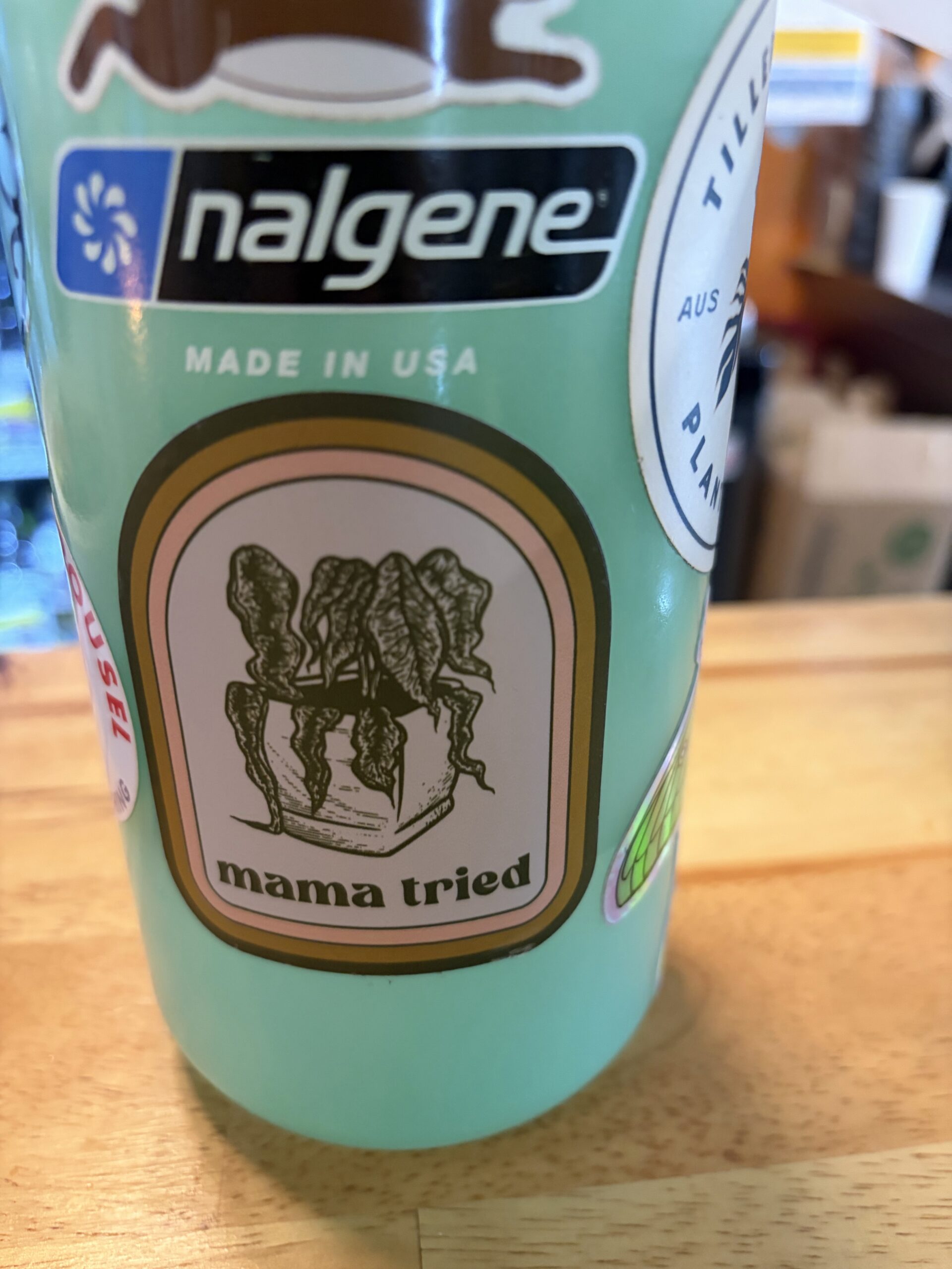 Mama Tried