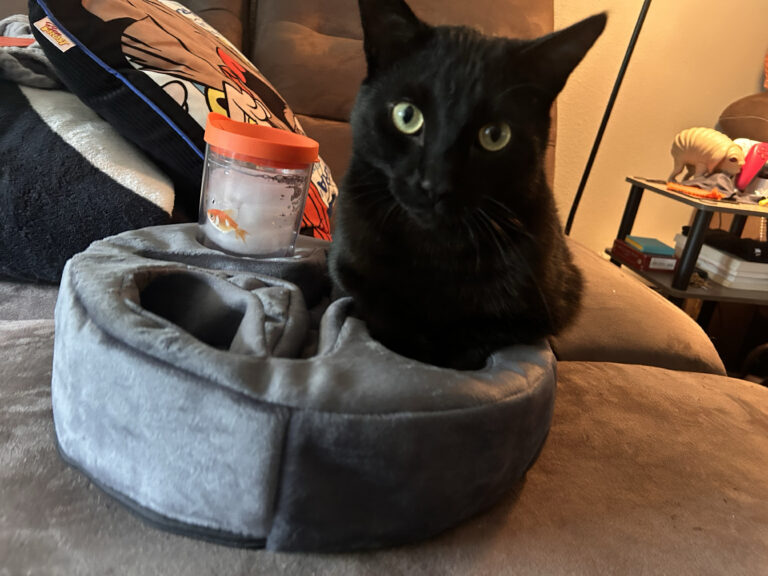 It Fits