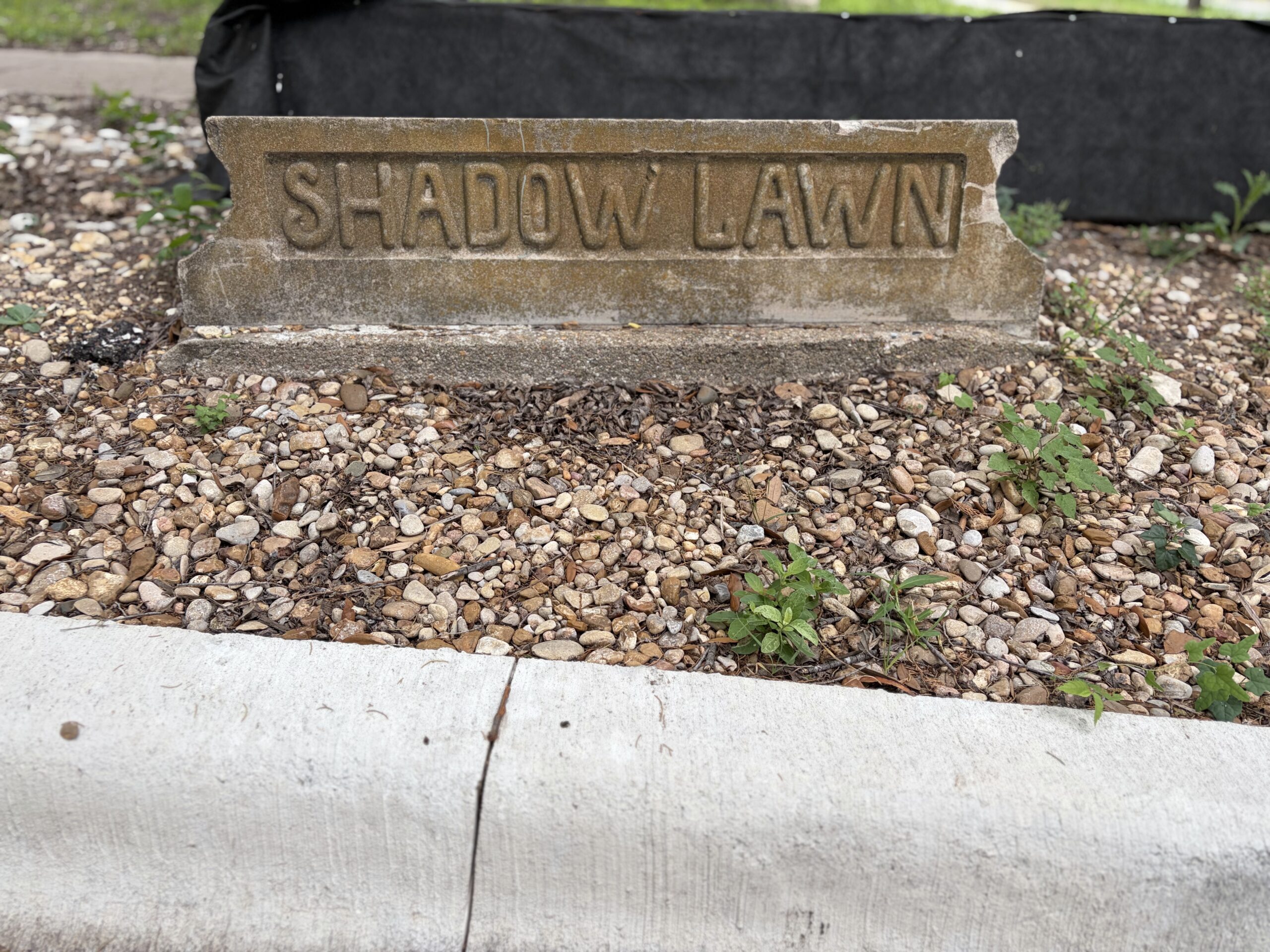 Shadow Lawn